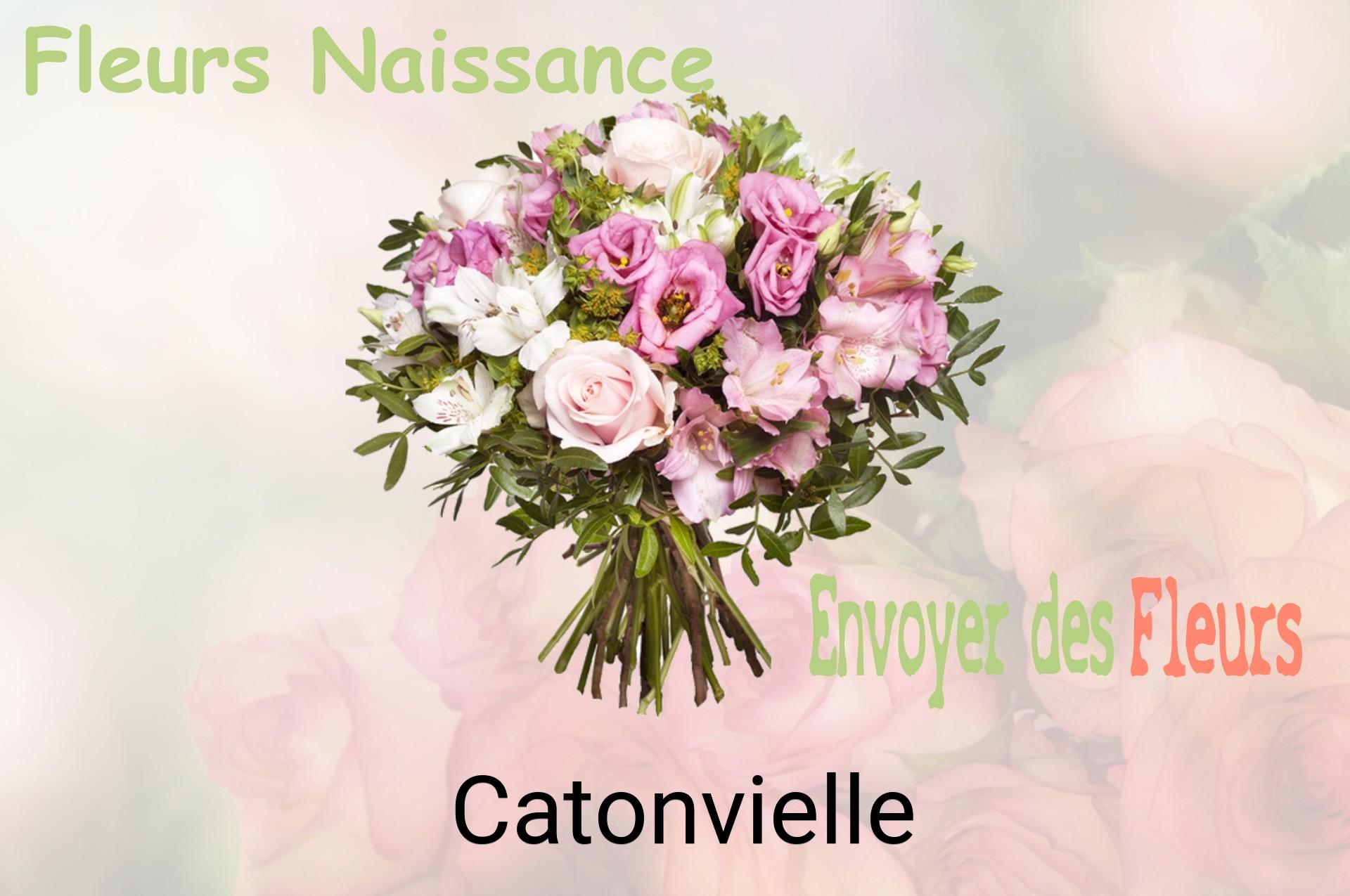 Bouquet de fleurs de naissance livré à Catonvielle